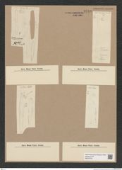 Diatomeae indet. Zeichnungen Sammlung Grunow Nr. 9749 (NHMW-BOT-W0379733)